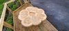Andrew Hall: Woodturning
